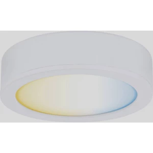 Paulmann CC Disc podžbukna svjetiljka 2.10 W toplo bijela bijela< slika