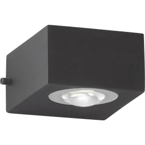 Fischer & Honsel Helsinki 30374 LED zidna svjetiljka 2 W  toplo bijela crna slika