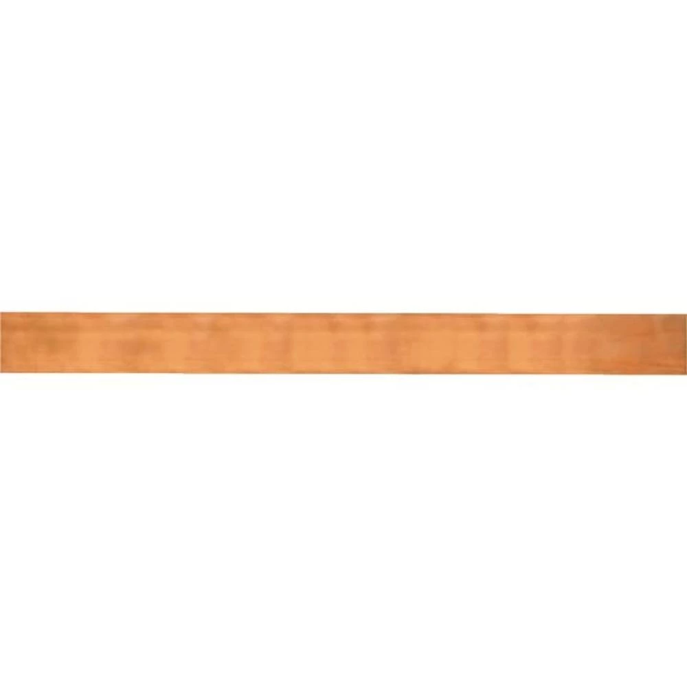 Striebel & John 2CPX061401R9999 bakrena letva      250 A slika