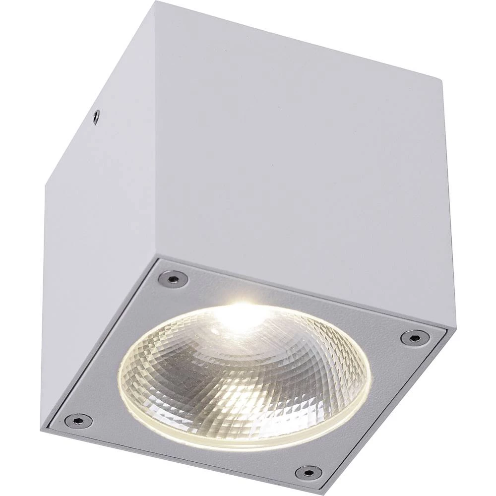 Vanjska LED stropna svjetiljka 7 W Toplo-bijela Paul Neuhaus 9674-16 Georg Bijela slika