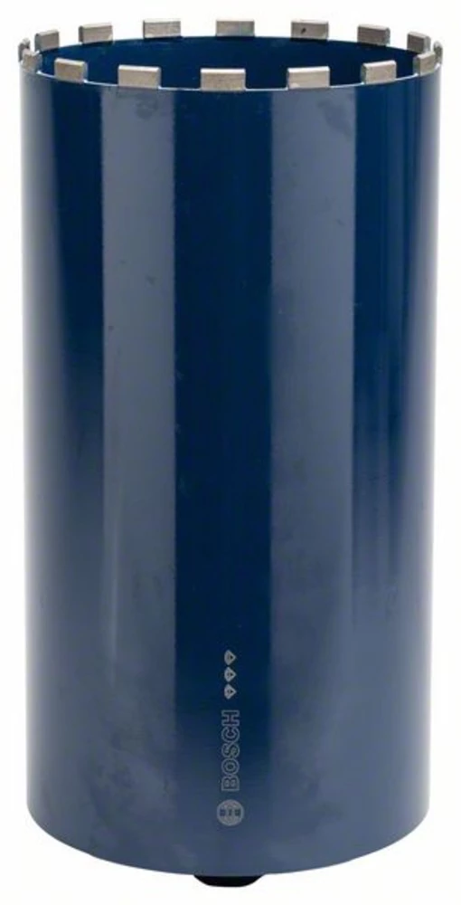 Vrsta svrdla 250 mm Bosch Accessories 2608601381 1 ST slika