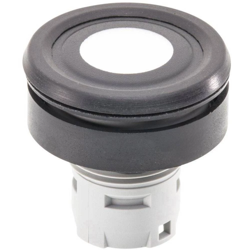 Folijsko tipkalo može se označavati Crna Schlegel RRJFTSW 1 ST slika