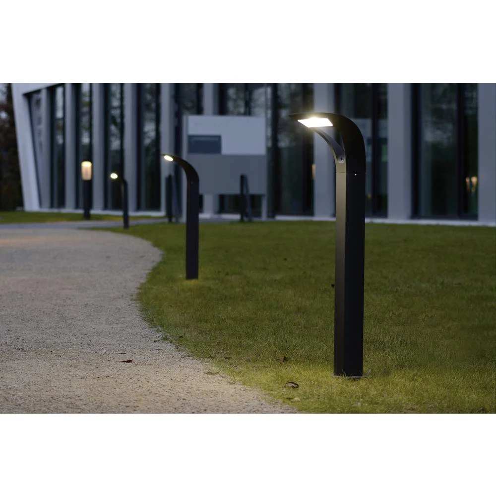 Vanjska LED podna lampa 18 W Hladno-bijela ECO-Light 2522 S-800 GR Anda Antracitna boja slika