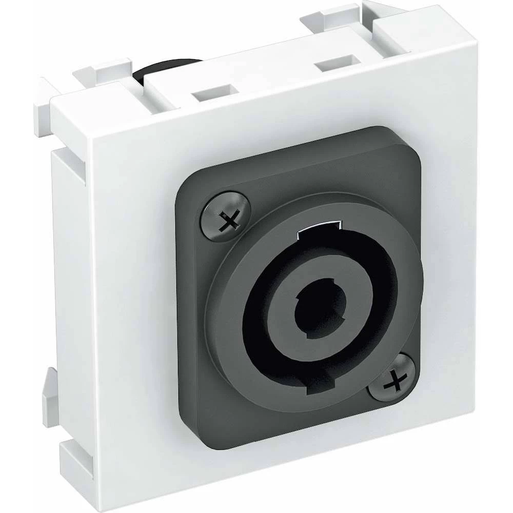 Poklopac Nositelj multimedije (Š x V x d) 45 x 45 x 30 mm OBO Bettermann 6105270 1 ST Bijela slika