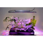 Venso LED svjetlo za rast biljaka  65 cm 230 V LED fiksno ugrađena 35 W  RGBw   1 St.