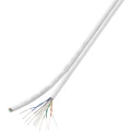 Mrežni kabel CAT 6 U/UTP 8 x 2 x 0.196 mm bijele boje TRU COMPONENTS 1567359 100 m slika