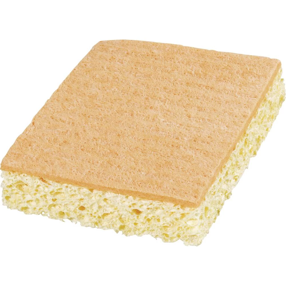 Zamjenska spužva, dvoslojna slika