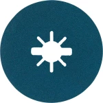 Bosch Accessories 2608619164 Ø 125 mm 1 ST