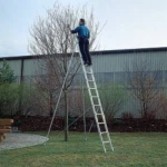 Günzburger Steigtechnik 19944 Nosači voćaka prikladni su za jednoslojne ljestvice 10010 i produžne ljestve 20210 1 St.