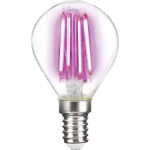 LightMe LED ATT.CALC.EEK A (A++ - E) E14 Oblik kapi 4 W Ružičasta (Ø x D) 45 mm x 78 mm Filament 1 ST