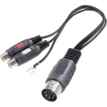 SpeaKa Professional-Audio adapter, 5-polni diodni muški konektor (DIN)/ 2 x činč ženski konektor slika