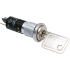 C & K COMPONENTS YM06132C805NQ CK slika