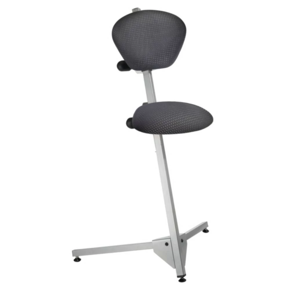 Kappes Pomoć za stajanje Čelik ErgoPlus 3000 8201.00.3420 slika