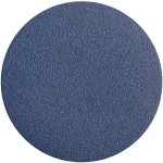 Bosch Accessories 2608608Y10 2608608Y10 brusni list Granulacija 24 (Ø) 125 mm 5 St.