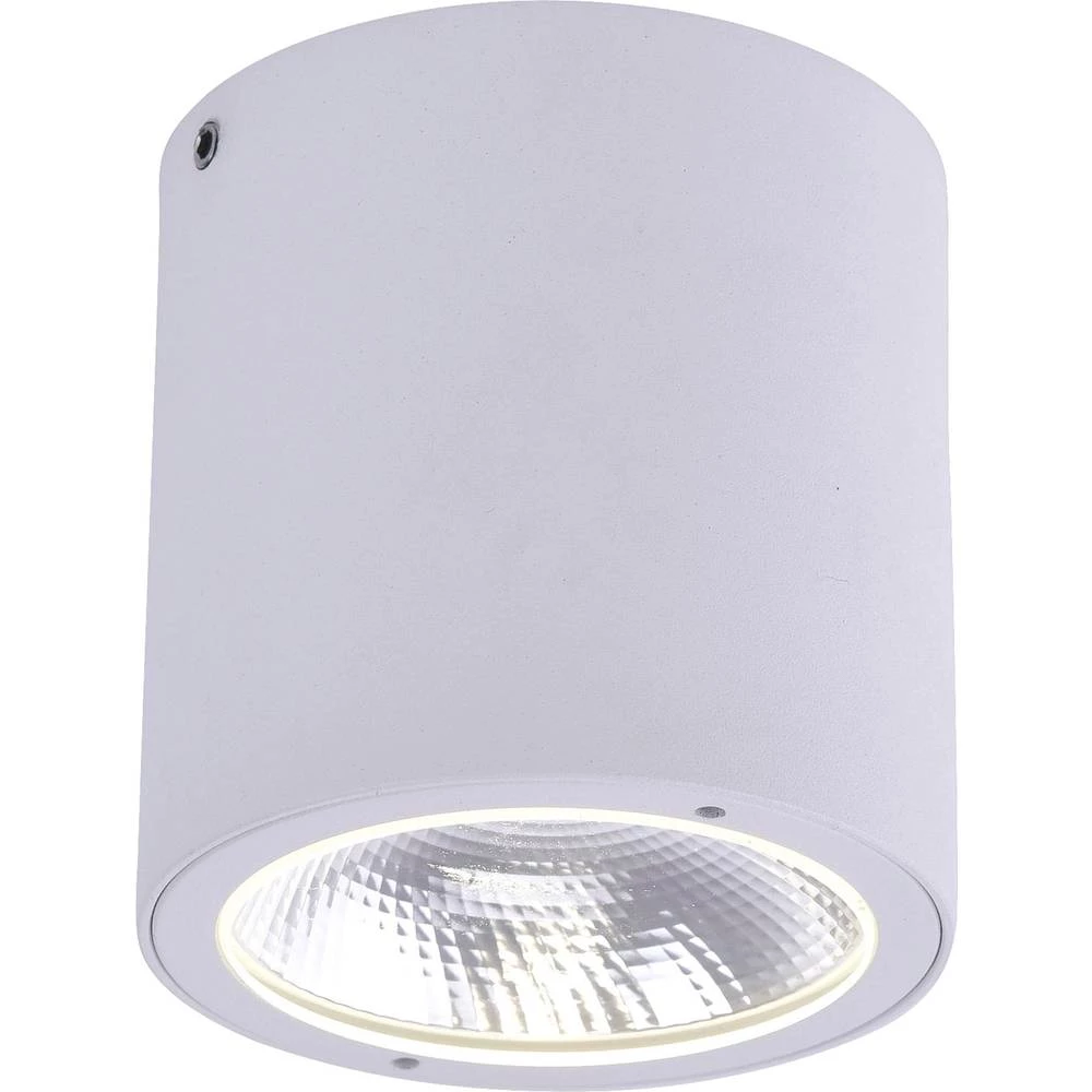 Vanjska LED stropna svjetiljka 7 W Toplo-bijela Paul Neuhaus 9673-16 Georg Bijela slika