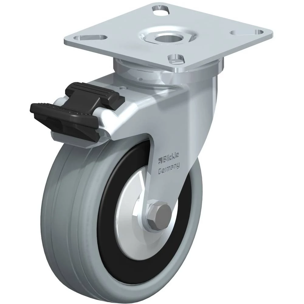 Blickle 280412 slika