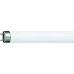 Philips fluorescentne cijevi Energetska učinkovitost 2021: G (A - G) G13 58.5 W neutralna