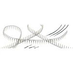 Ženski kontakt Harting 09670008268 1 ST