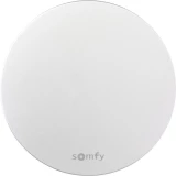 Bežična unutarnja sirena Somfy 2401494 Somfy Home Alarm