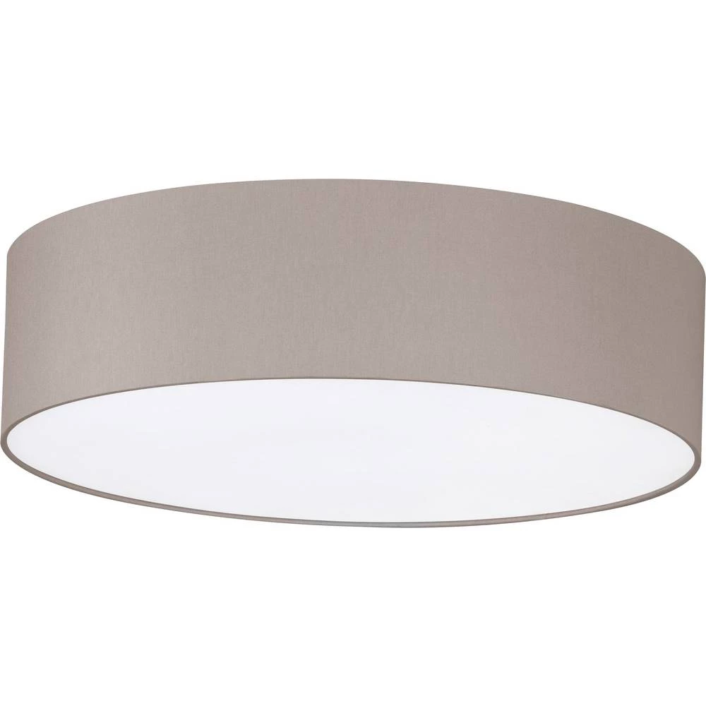 Fischer & Honsel 20029 stropna svjetiljka LED E14 120 W slika