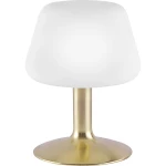 Noćna svjetiljka LED G9 3 W Toplo-bijela Paul Neuhaus TILL 4078-60 Mjedena (mat)