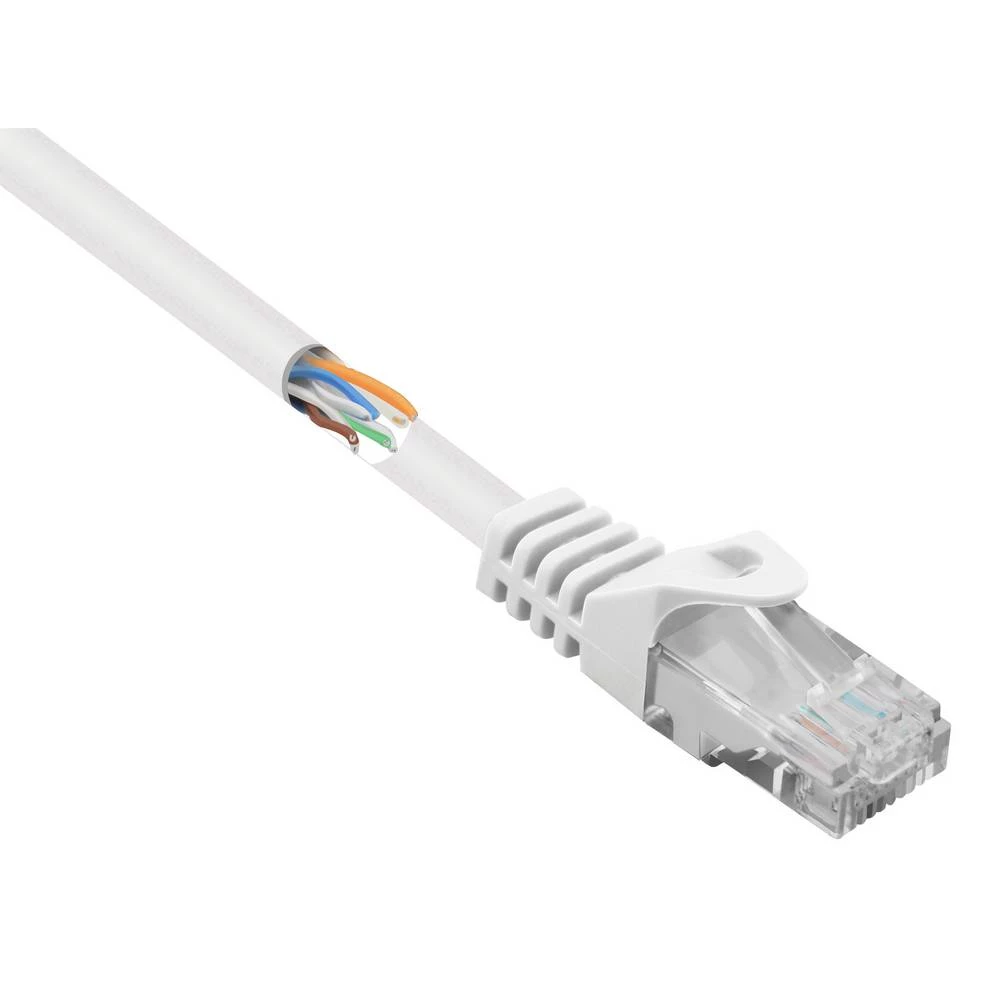Basetech RJ45 BT-2272254 mrežni kabeli, patch kabeli cat 5e U/UTP 0.25 m bijela sa zaštitom za nosić slika