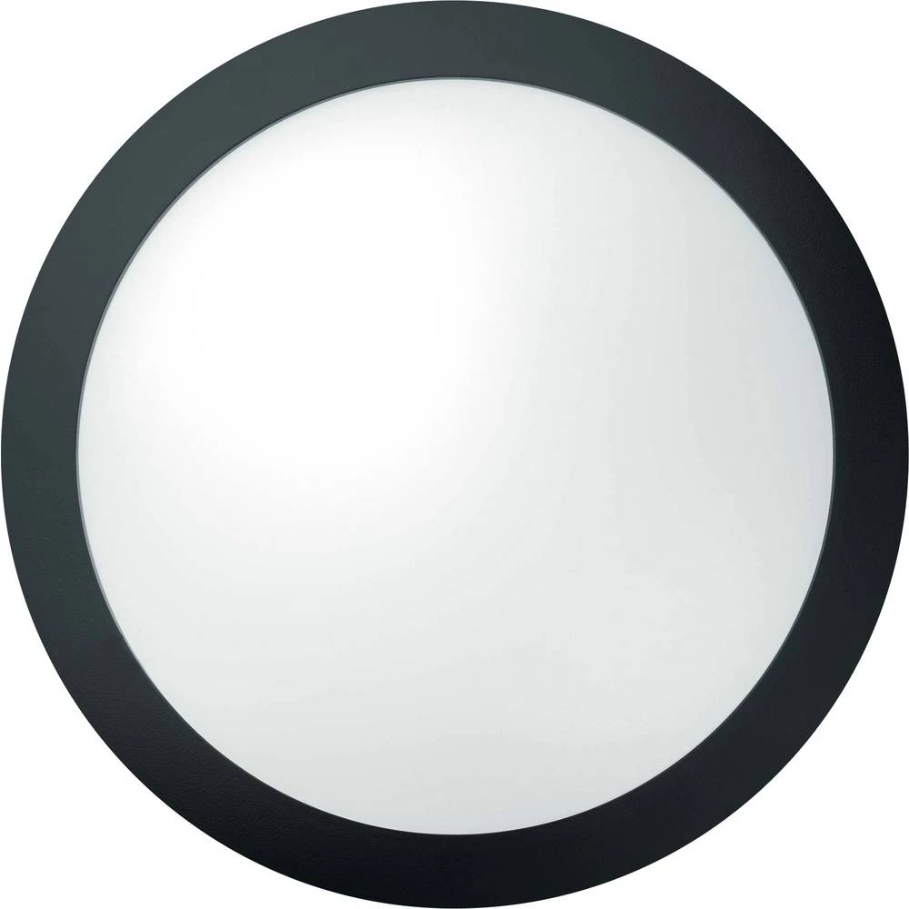 Thorn ECO TOM 96668716 LED zidna svjetiljka 20 W toplo bijela crna slika