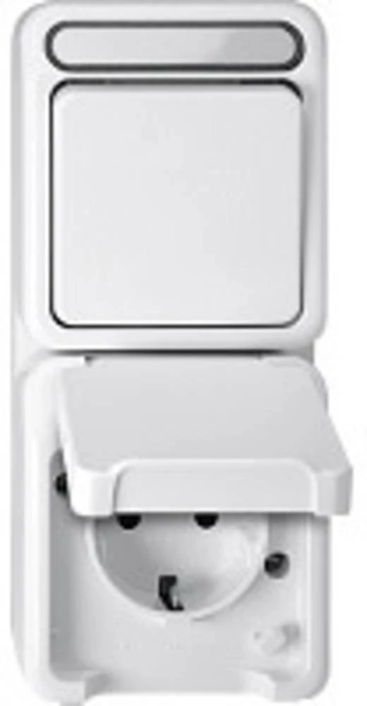 Merten 1 komad Potpuni Kombinacija prekidača / utičnica Polarno bijela 4922834 slika