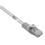 Basetech RJ45 BT-2268243 mrežni kabeli, patch kabeli cat 5e U/UTP 5.00 m siva sa zaštitom za nosić