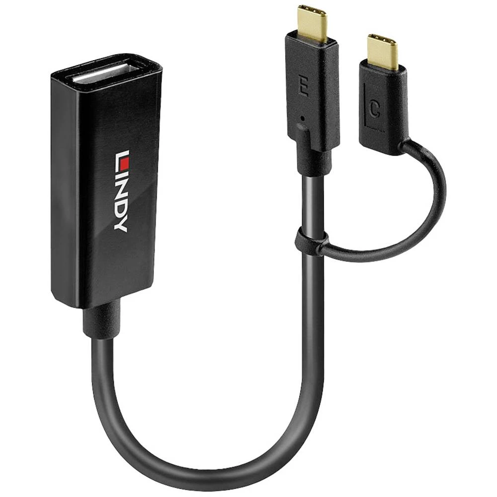 LINDY USB-C™, displayport pretvarač [2x muški konektor USB-C™ - 1x ženski konektor displayport] slika