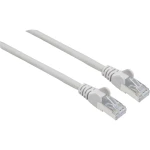 LAN (RJ45) Mreža Priključni kabel CAT 6A S/FTP 0.25 m Siva Zaštićen s folijom, Pletena zaštita, Sa zaštitom, Podržava HDMI, Bez
