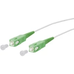 Staklena vlakna Svjetlovodi Priključni kabel [1x SC APC utikač - 1x SC APC utikač] 9/125 µ Singlemode OS2 3 m Metz Connect