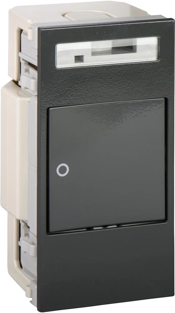 Schneider Electric INS66101 Kabelske kanalice Schneider INS66101 prekidač 2-polni Siva slika