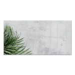 Sigel magnetska ploča od stakla Design Botanic (Š x V) 910 mm x 460 mm siva, zelena GL288