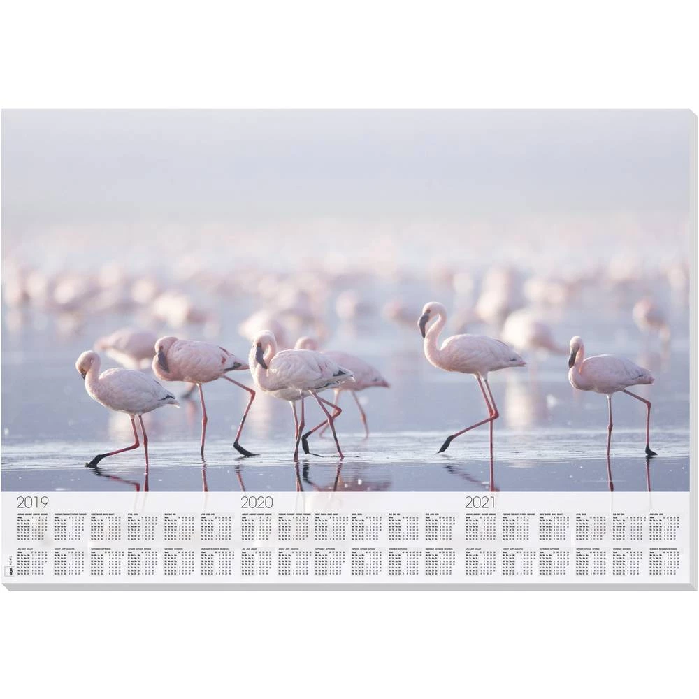 Sigel HO472 Podloga za pisanje (Š x V) 595 mm x 410 mm slika