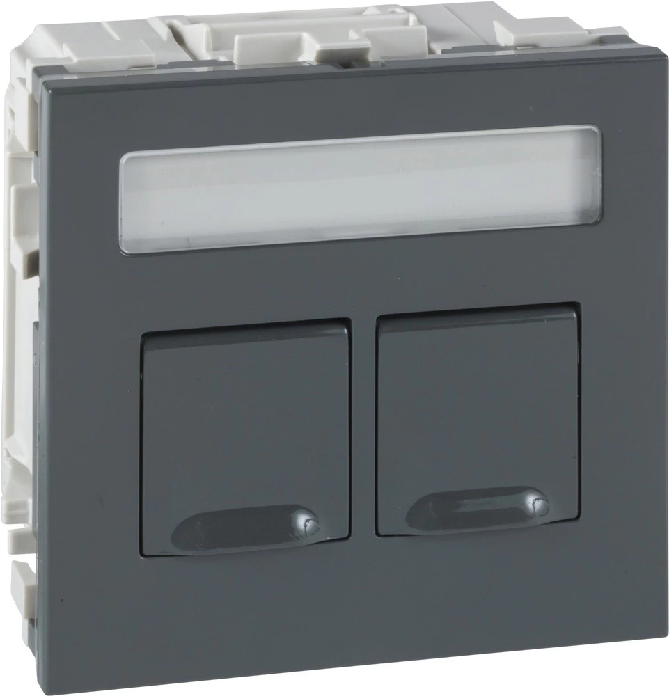 Schneider Electric INS64123 Kabelske kanalice Schneider INS64123 podatkovni modul 2 Lucent Siva slika