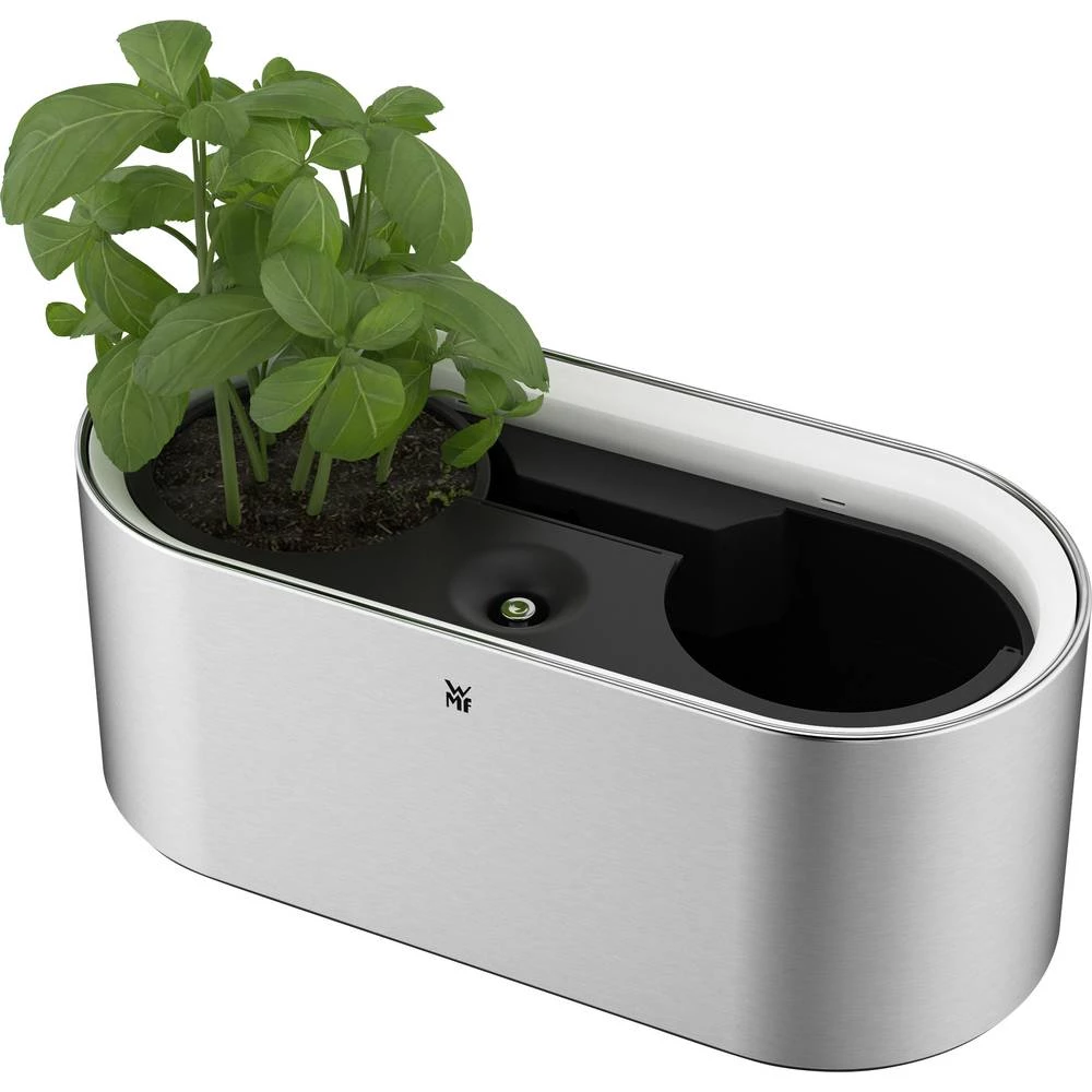 Unutarnji vrt sa začinskim biljem WMF AMBIENT Kräuter@home Srebrna slika