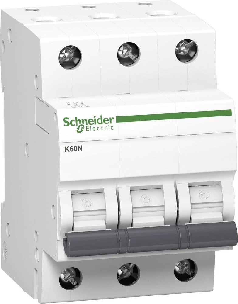 Zaštitna sklopka za vodove 16 A Schneider Electric 3814639 slika