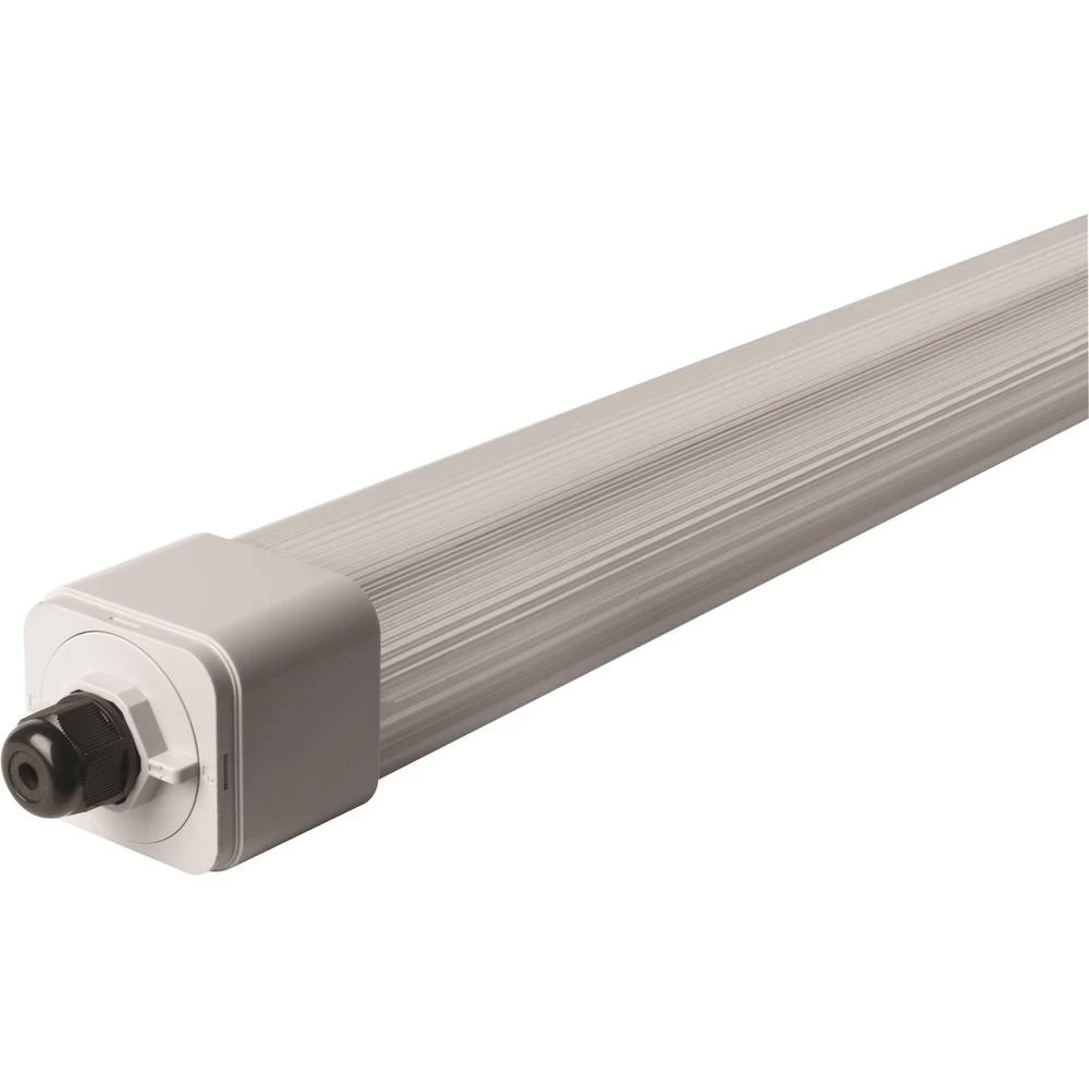 LED svjetiljka za vlažne prostorije LED LED fiksno ugrađena 63 W Neutralno-bijela Megaman DINO2 Siva slika