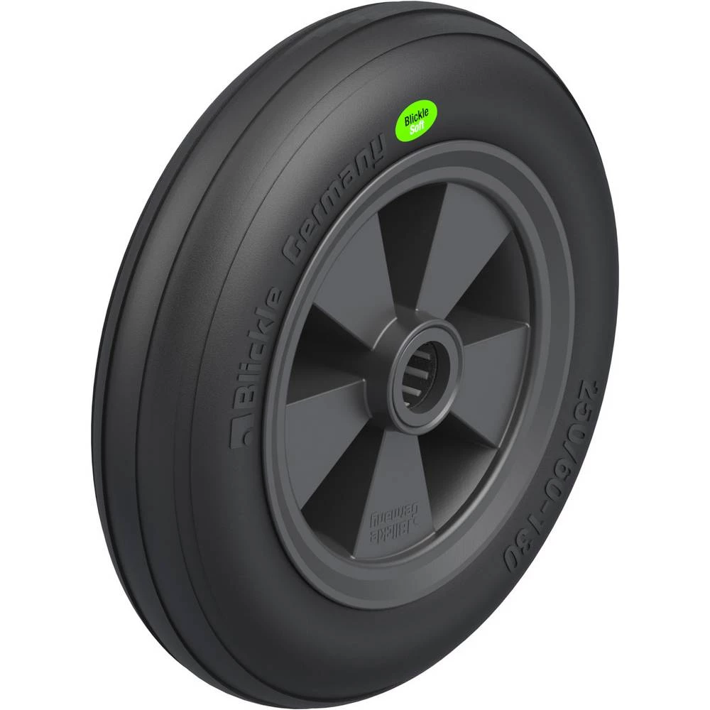 Blickle 755258 slika