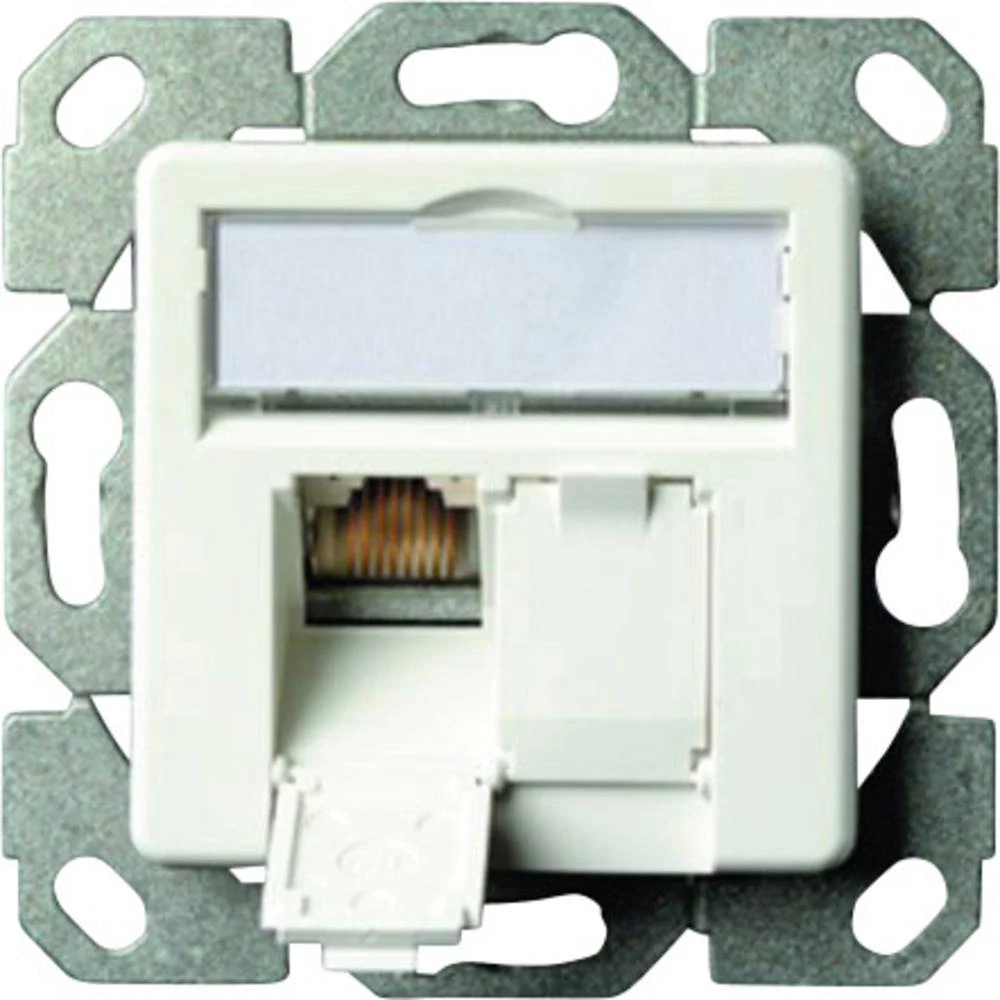 Mrežna utičnica Podžbukna Upotreba/utičnica sa središnjom pločom CAT 6A 2 ulaza Telegärtner Alpsko-bijela boja slika