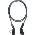 Kabel za punjenje E-mobilnost Schneider Electric EVP1CNS32121 5 m