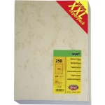 Papir s motivom Sigel T1081 Motiv tiskani DIN A4 90 gm² Bež boja 250 Stranica