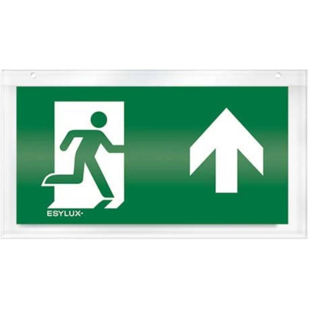 ESYLUX EN10032639 Piktogram Izlaz slika