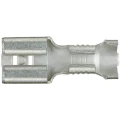 Klauke 1750 plosnate natične stupice Širina utikača: 6.3 mm Debljina utikača: 0.8 mm 180 ° neizolirani metalna 1 St. slika