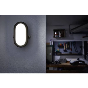 LEDVANCE LED BULKHEAD (EU) L LED svjetiljka za vlažne prostorije LED 5.5 W hladno bijela bijela slika