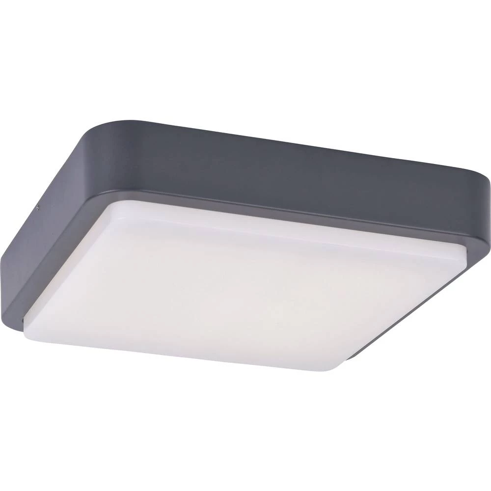 Paul Neuhaus Q&reg; LED vanjsko stropno svjetlo Q&reg;-Lenny LED fiksno ugrađena 19.6 W RGBAW slika