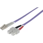Staklena vlakna Svjetlovodi Priključni kabel [1x Muški konektor LC - 1x Muški konektor SC] 50/125 µ Multimode OM4 2 m Inte