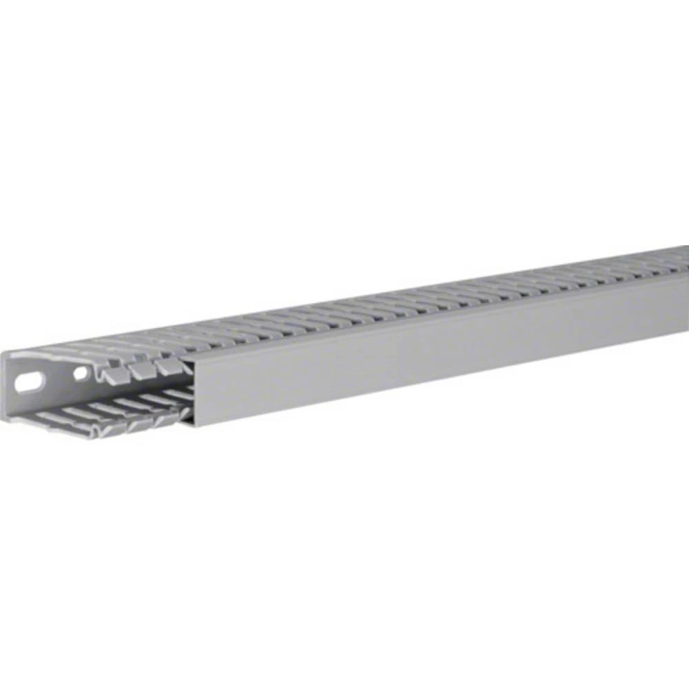 Hager BA760025 kanal za ožičenje (D x Š x V) 2000 x 25 x 60 mm 1 St. kameno-siva slika
