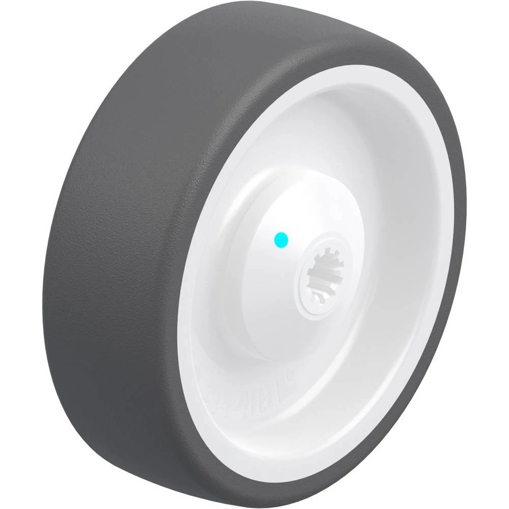 Blickle 763653 slika